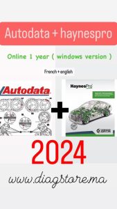 AUTODATA avec HAYNESPRO online 1 an